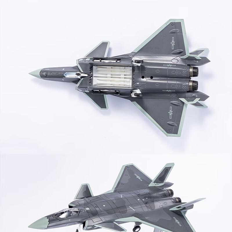 WEZHO J-20 Fighter Jet Model
