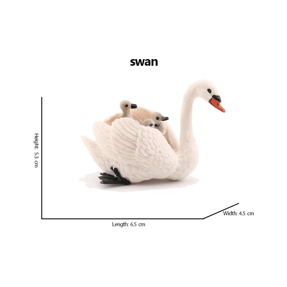 Kiwi Bird Jungle Animals Figures Peacock Phoenix Mallard Turkey Toucan Action Figure Toy Animal Figurines Toys for Kids Gifts