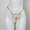 Lanț de corp cu ciucuri complet cu diamante pentru femei Lanț tanga cu strasuri Stil european Accesoriu de corp pentru club de noapte Plajă