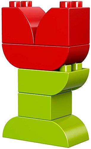 LEGO DUPLO Idea Box 10817 DUPLO® <Extra Set>