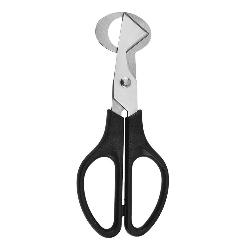 1Pc Stainless Steel Quail Egg Shell Scissors - Rust-Resistant Durable Kitchen Tool,  for Quail Egg Cutting & Cigar Trimming