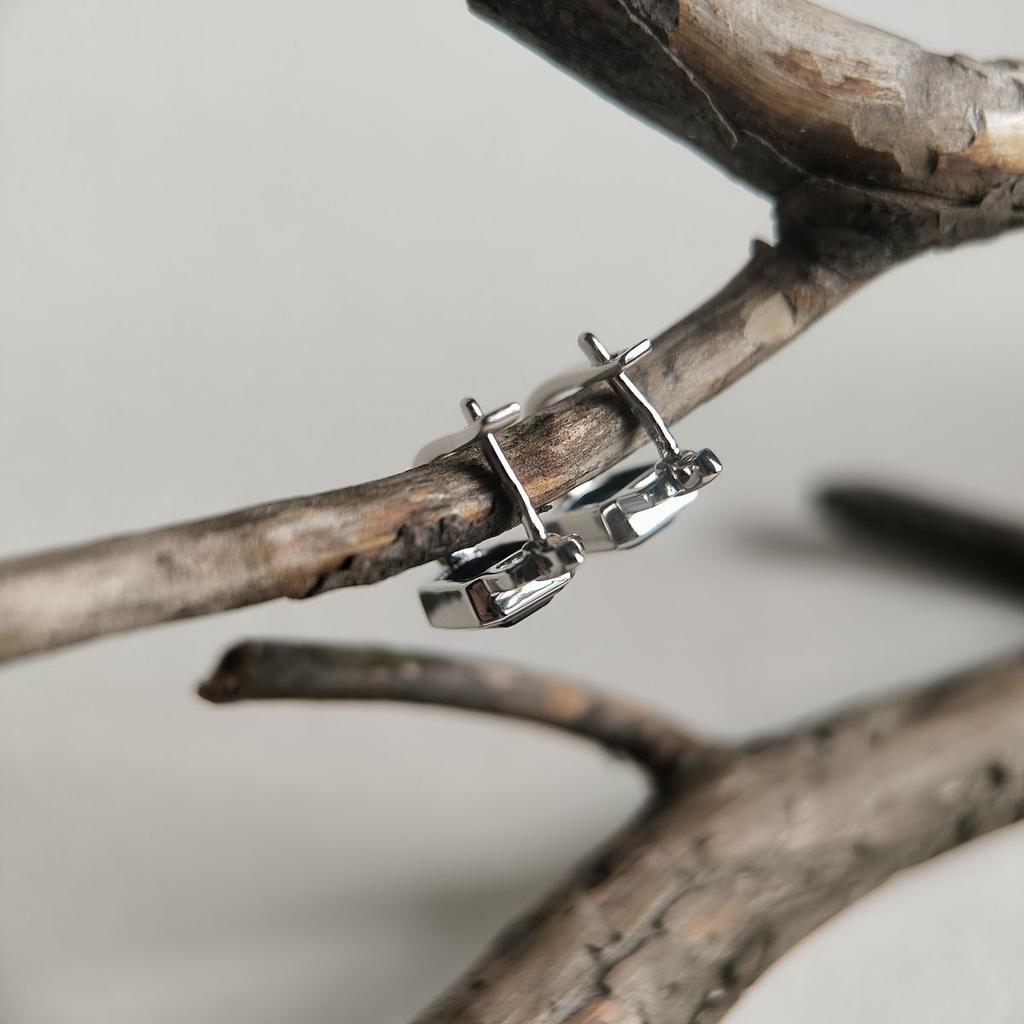 Silver Earrings with Nano Sapphire 2.917ct (2189084)