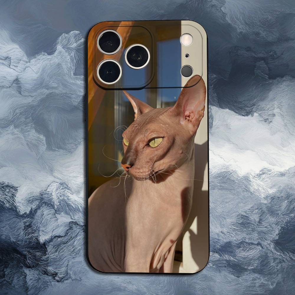 Pet Sphynx Sphinx Cat  Case For iPhone 11,12,15,14,13,16,17,Plus,Pro Max,XS,X,XR,SE,Mini,8,7,Soft Silicone Black