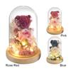 Süße Bär Ewige Rose Im Glas mit LED Süße Bär Blume Rose Glas Abdeckung Konservierte Rosen Bär Geschenke Freundin Valentinstag Geschenk