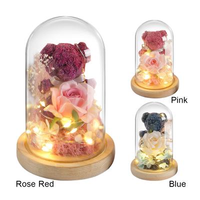 Cute Bear Eternal Rose In Glass with LED Cute Bear Flower Rose Glass Cover Preserved Roses Bear Gifts Girlfriend Valentines Gift