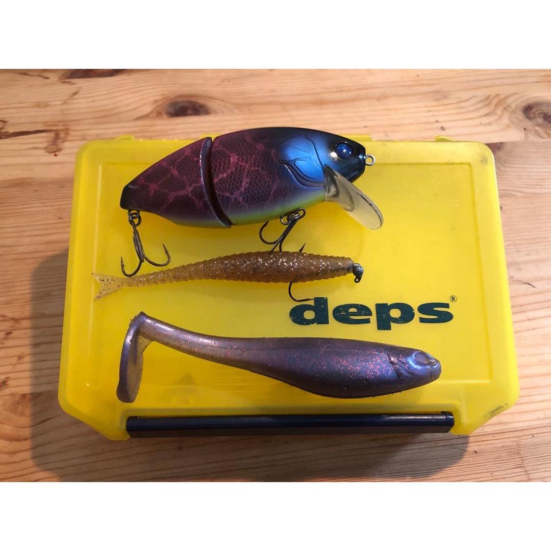Used Nekosogiru worm depth case set deps black bass bass