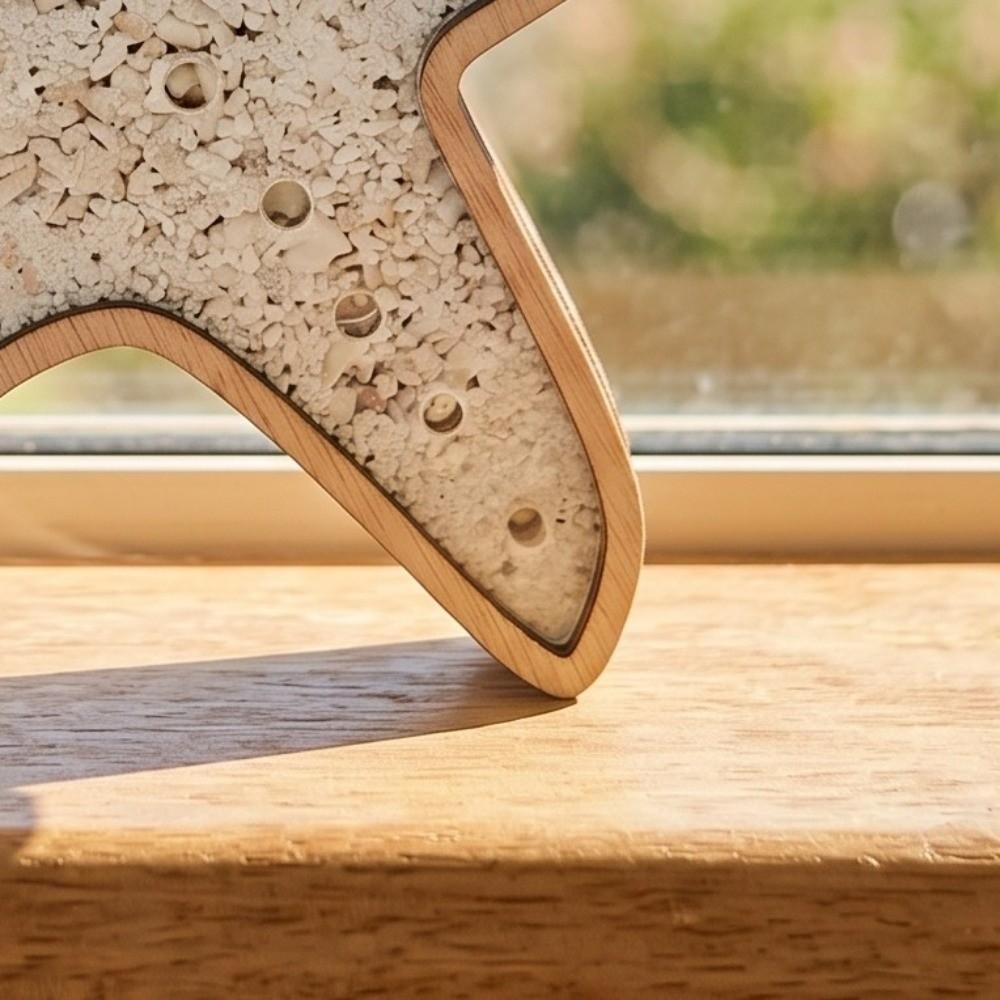 Creative Starfish-Shaped Display Box Wooden Multi-Function Star Piggy Bank Translucent Decoration Desk Organizer Home Decor
