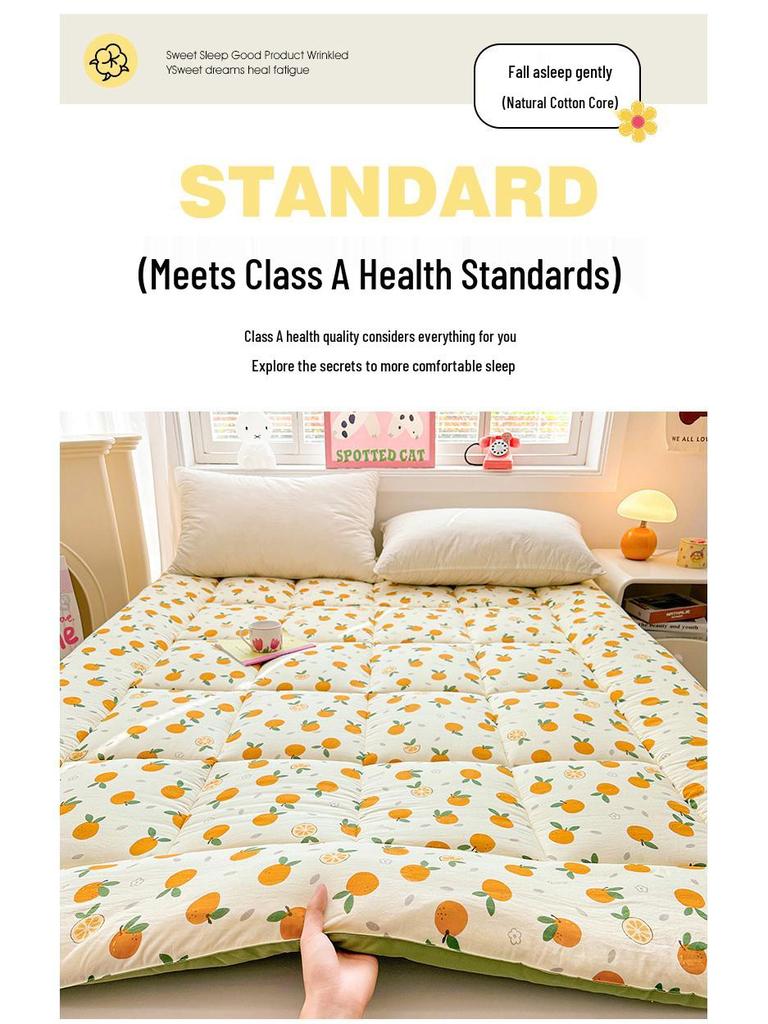 2025 A-Class Cloud Cotton Print Soft Mattress Pad & Quilt