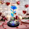 Ewige Rose in Kuppel mit LED-Licht Romantisches Leuchten Künstliche Rose Geschenk für Ehefrau Freundin Oma Jahrestag Geburtstag Valentinstag Feiertag