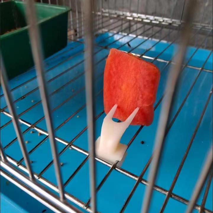 Plastová vidlička na ovoce pro krmení andulky - Hračka a doplněk do klece pro papoušky pivoňkové