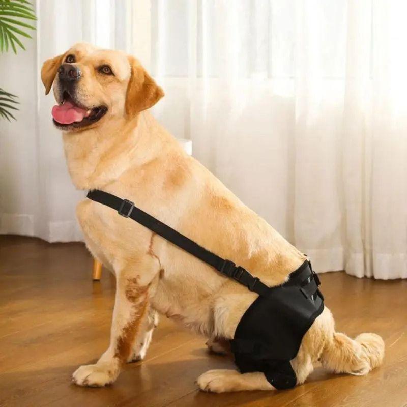 Soporte de Pierna para Perro Rodilla Cadera Articulación Proteger Heridas Prevenir Lesiones Ayuda Canina Y Rehabilitación de Ligamentos Para Mascotas Accesorios