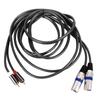 2 RCA to 2 XLR Cable Male Flexible PVC for Home Theater Audio Device Connection 3meter