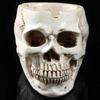 Skeleton Skull Resin Decor Ashtray With Handcrafted Carving For Halloween Home Office Ornament