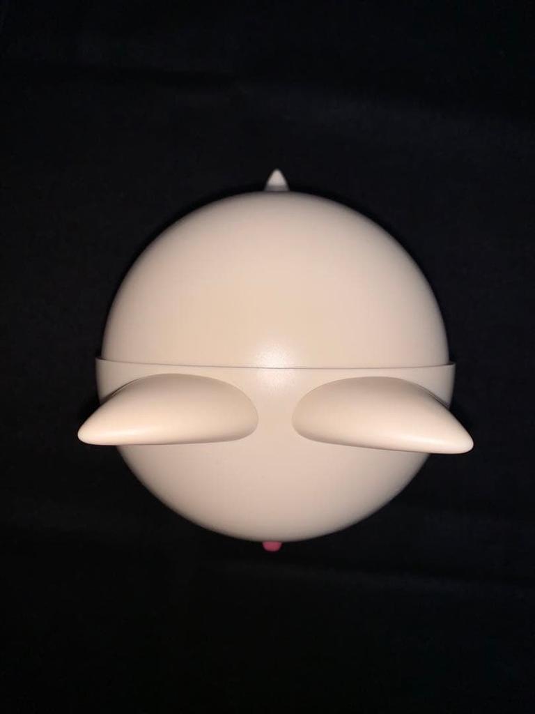 [USED] Straykids Skzoo Foxiny Trashbin Ien