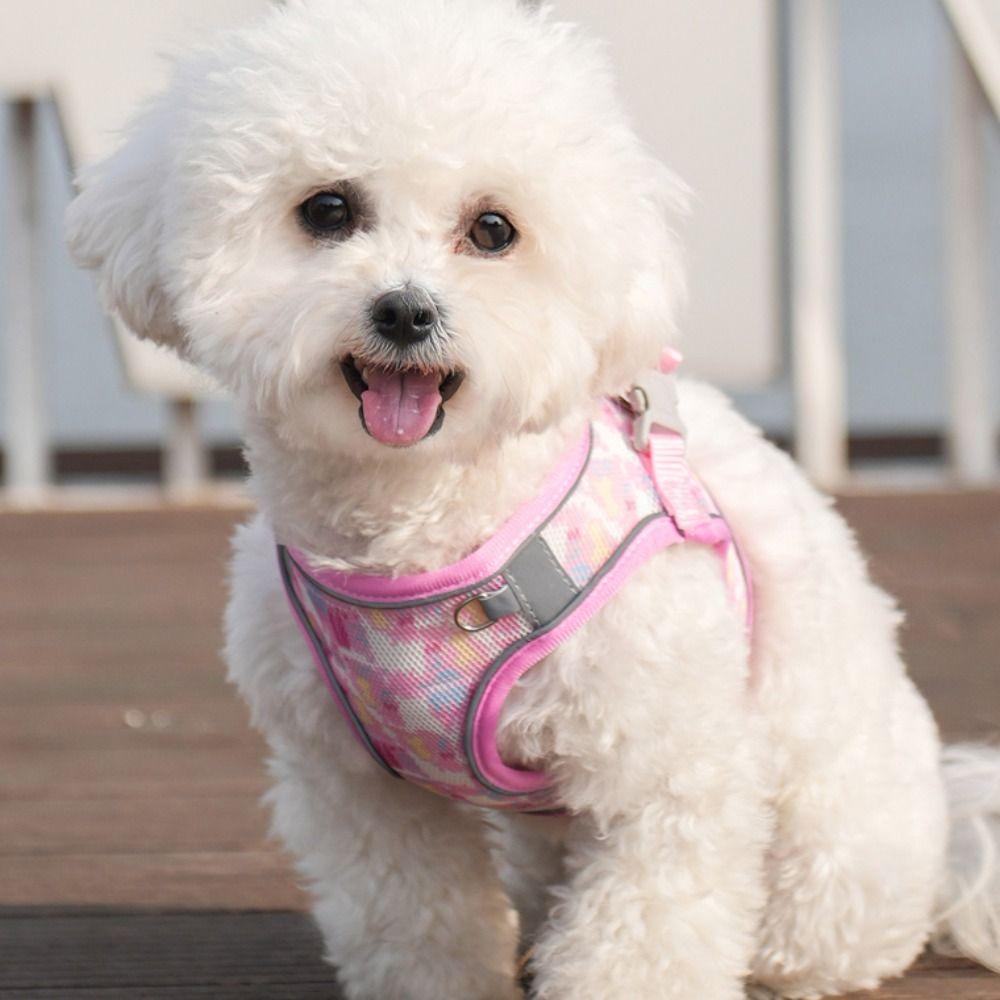 Reflective Pet Vest Style Harness Breathable Pet Chest Strap Dog Harness Leash Set  Chihuahua