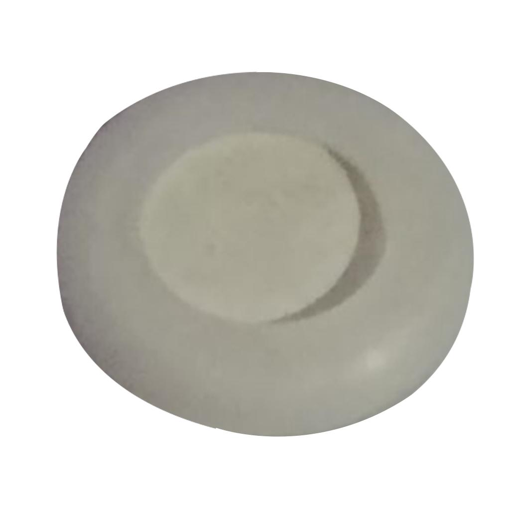 Aquarium Bubbler Diffuser Replacement Slice Fishtank Atomizer Disc Aquatic Growth Health Supply Living Room Office Hotel