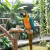 Bowtie Pet Parrot Diaper Adjustable Bird Flight Suits Washable Parrot Flying Clothes  Travel