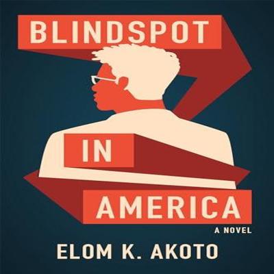 Blindspot In America by Elom K. Akoto Paperback Book 9781636281827