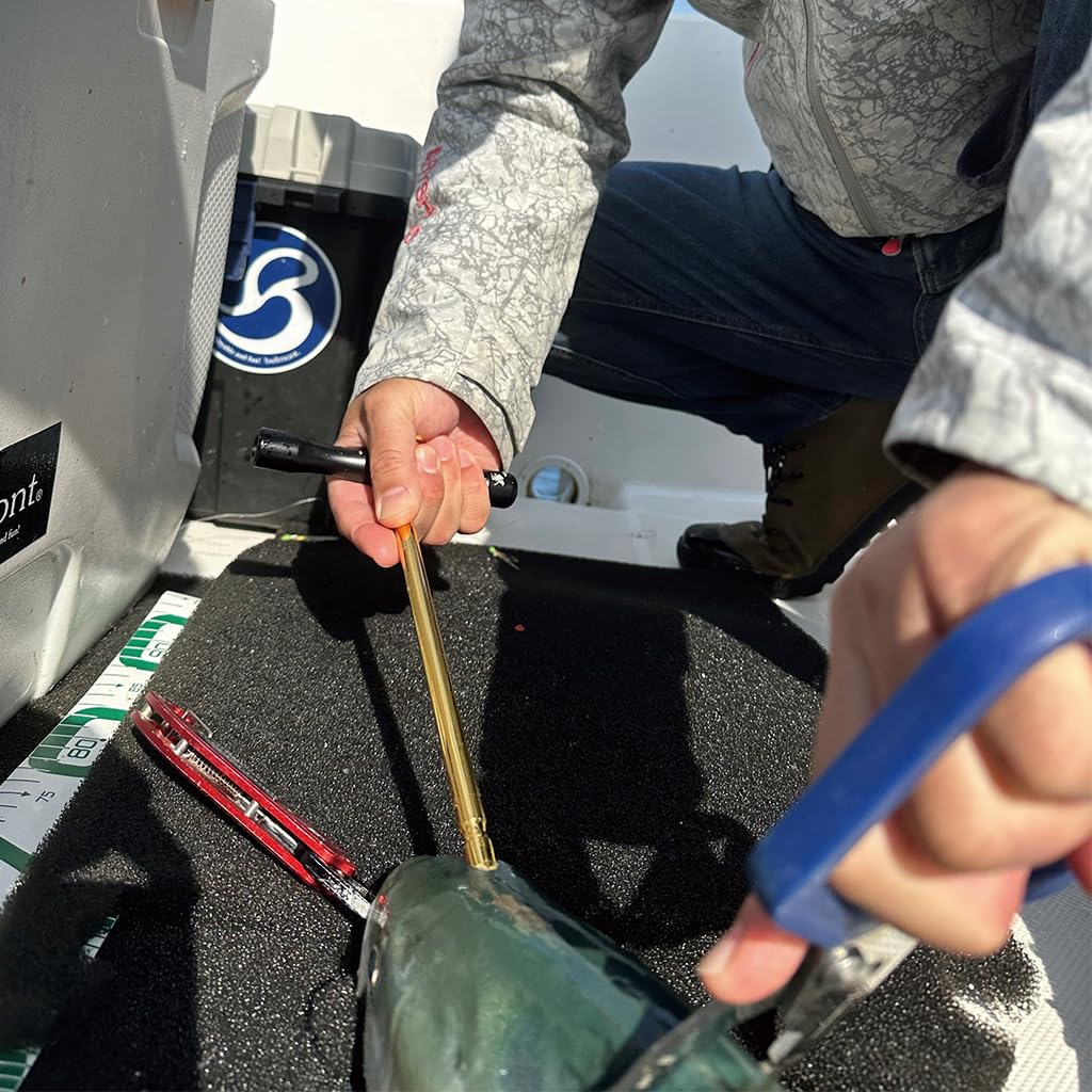 Belmont Fish Ippatsu Pro MP-166 Plektrum,