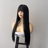 Universal Daily Style Black Long Straight Synthetic Wig with Bangs