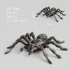 Simulation Pvc Animal Static Model Arthropod Spider Doll Collection Boutique Ornament Gift Gift Toy