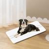 High Precision 10g Pet Scale 20kg Digital Weighing Scale for Cats Dogs Parcels Postal Shipping Electronic Kitchen Scale