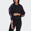 Adidas Originals Trefoil Sport Casual Hooded Pullover Knit Striped Sweatshirt Women Sweatshirt Black GN2853