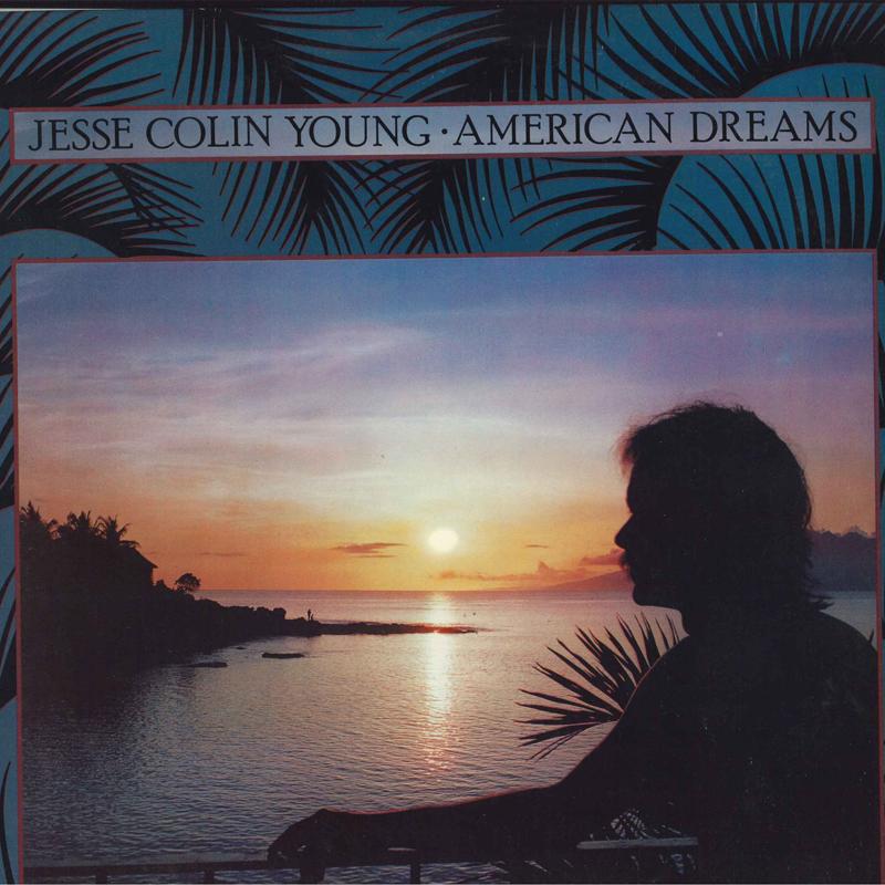

LP Record JESSE COLIN YOUNG - American Dreams 6E157 ELEKTRA 1978 US Rock Used