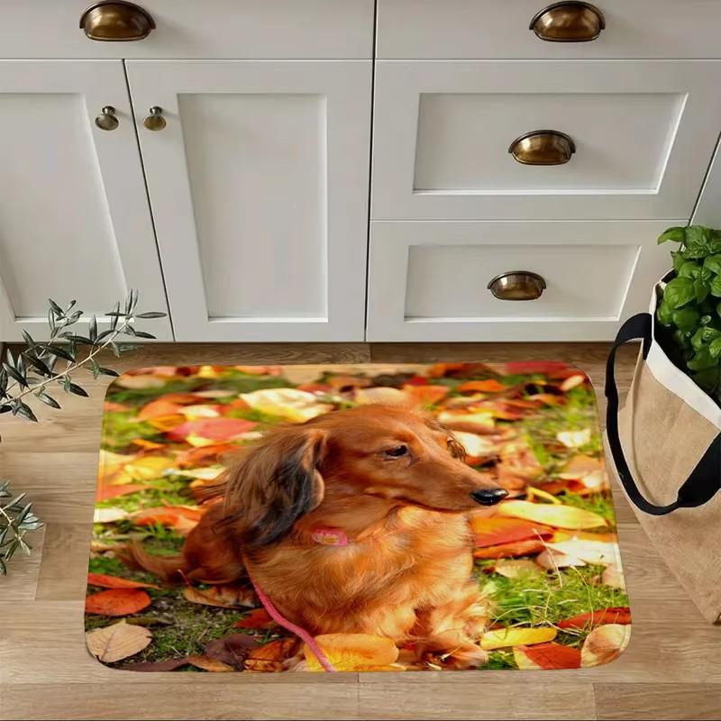 Mini Dachshund Dog Door Mat Decor Animal Pattern Print Rug Living Room Bedroom Entrance Doormat Kitchen Front Non-slip Carpet