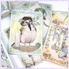 I.I.J Oracle Cards Oracle of the Chimeras English Affirmations Animal Fortune Telling Authentic Product