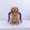 Creative Pet Spider Costume Furry Cat Cosplay Costume Funny Pet Spider Harness  Photo Celebration