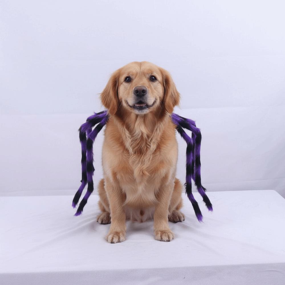 Creative Pet Spider Costume Furry Cat Cosplay Costume Funny Pet Spider Harness Photo Celebration