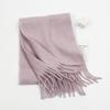 Autumn and winter solid color imitation cashmere beard scarf women's versatile shawl scarf light luxury style