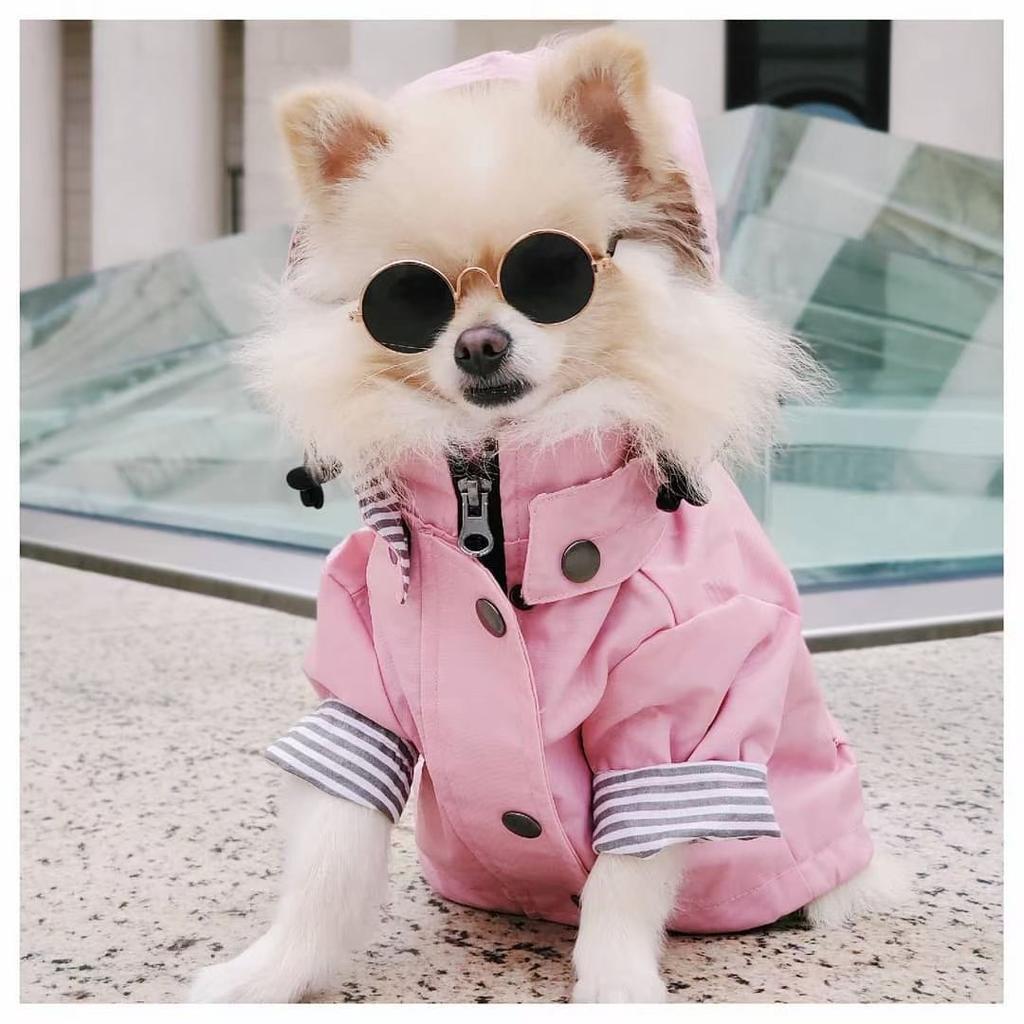Wasserdichter Hundemantel für kleine, mittelgroße und große Hunde, Katzen, Haustier-Regenmantel, Hundesport-Kapuzenpullover, Haustiermode, hochwertige Kleidung
