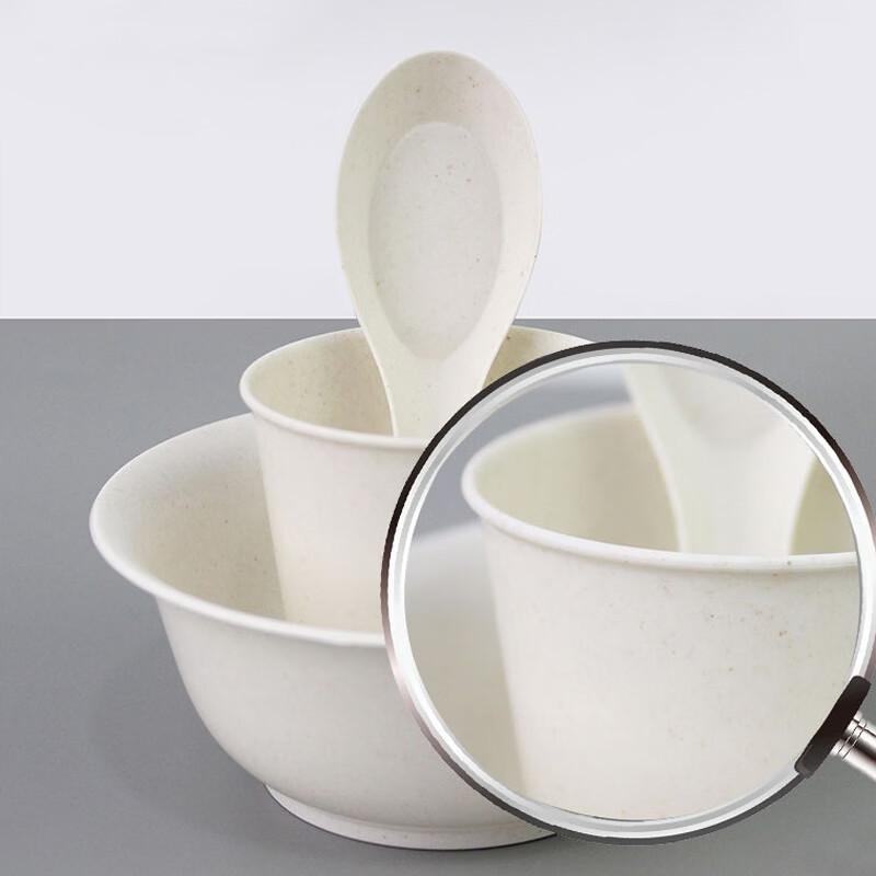 BATANUV Disposable Tableware Set for 10