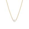 Stainless Steel Necklace Wind 316 Material Shell Pearl Pendant Fashionable Simple Fine Collarbone Chain Jewelry