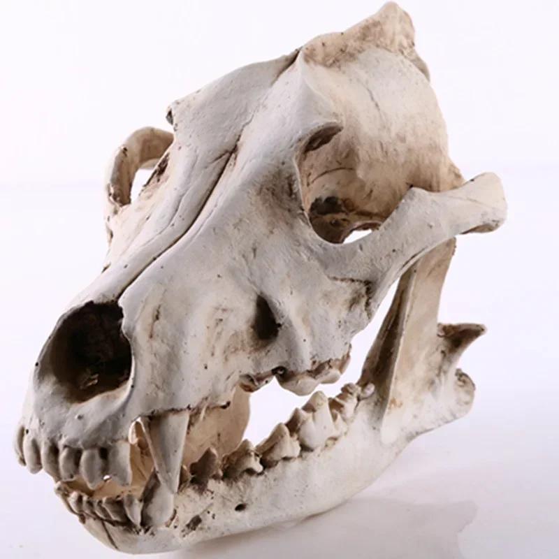 Resin Craft Halloween Decoration Lifelike Wolf Skull Statues Creative Home Decoration Skull Statue Sculpture Art Sketch Model