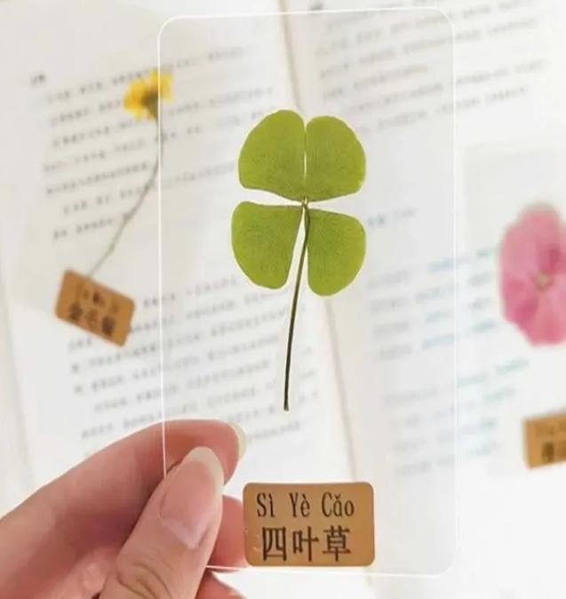 

Plant Specimen Bookmark Material Kit, Antique Flower Bookmark One Size