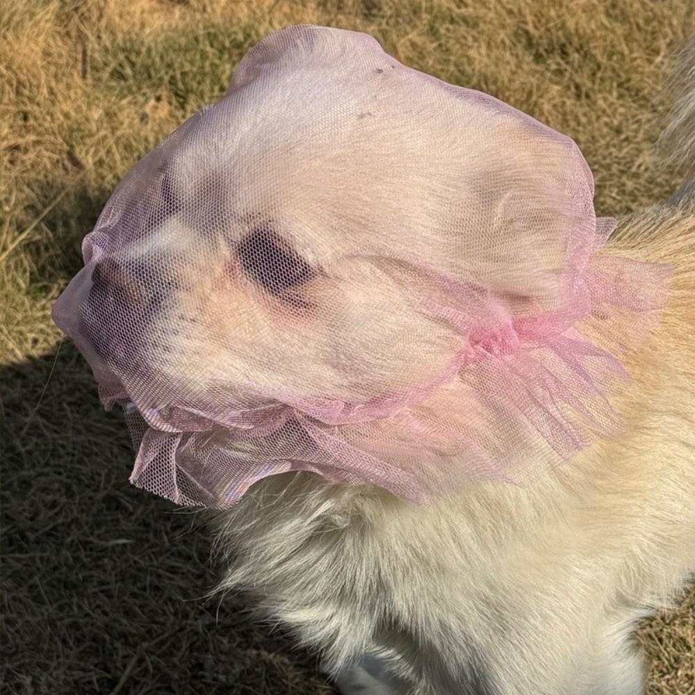Breathable Dog Anti-Eating Veil Adjustable Comfort Pet Dog Mouth Cover Elastic Polyester Anti Licking Headband Behavior Control