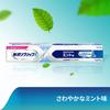 Poligrip S Denture Adhesive Cream Fresh Mint Flavor 75g - Strong Hold Denture Glue Made in Japan