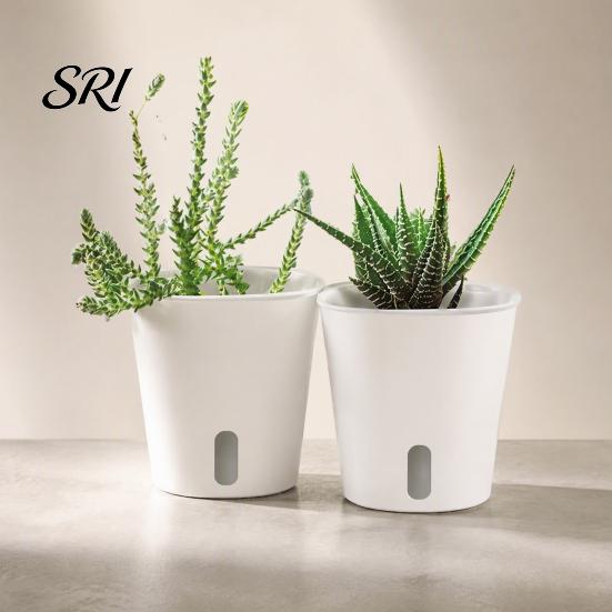 Small Planters for Hoya Cuttings Self Watering Plant Pots Indoor Plants, with Water Level Indicator, Clear Propagation Containers Carnivorous