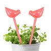 Self Watering Shape Watering Bulb Automatic Clear Plant Planter Insert Bird Irrigation Spikes for Indoor