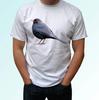 Blackbird White Kids Boys T-Shirt Animal Tee Bird Top Design - S S Kids Baby Sizes