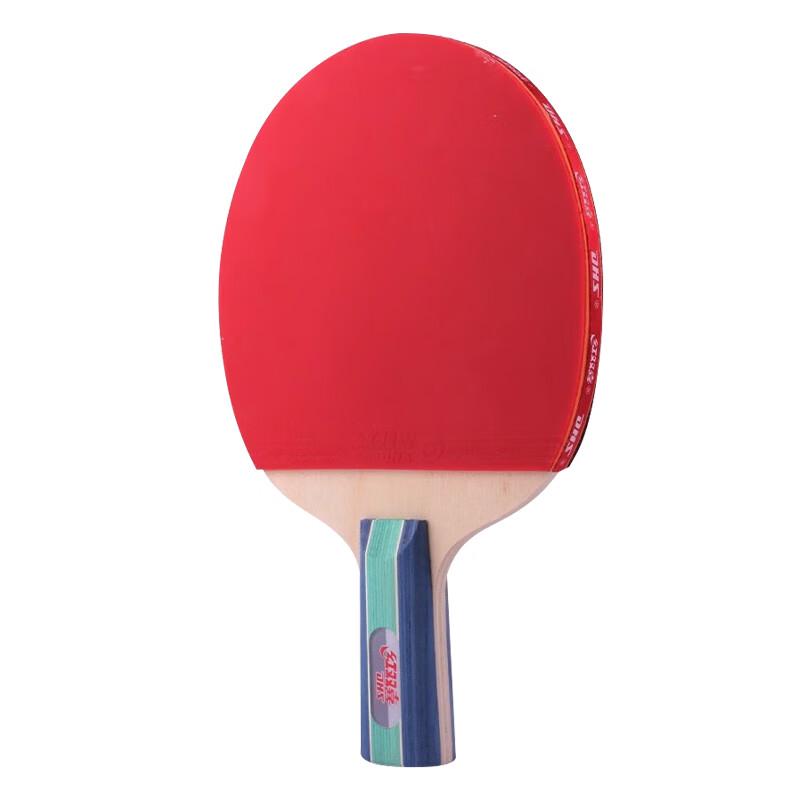 DHS 1-Star Beginner Penhold Table Tennis Racket