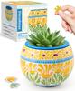 PieceRelax Plastic 3D Flower Pot Puzzle Summer Perfect As a Gift for Pen or As a Candy Tin 80-Piece "Blooming Flowers" (10x10x7cm) - Kids, Holder,