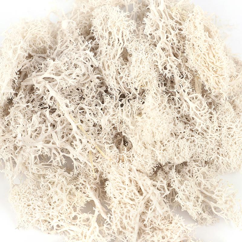 20/40/100g Artificial Green Plants Eternal Life Moss Grass DIY Crafts for Home Garden Room Decoration Mini Landscape Fake Flower