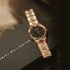Daniel Wellington European and American watches Quartz movement, stainless steel strap, 28mm, black dial, women's watch, girls watch DW00100214