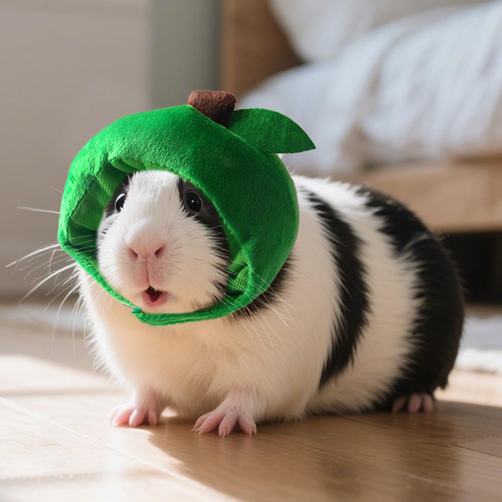Pet hat funny costume chicken leg headdress, apple hat, cat cute leaky ear hat