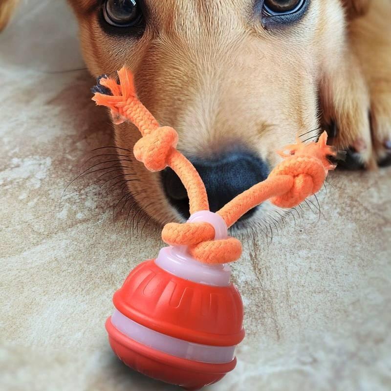 Interactive Squeaky Dog Toys For Boredom Relief Reduce Anxiety Chew Toys For Dogs