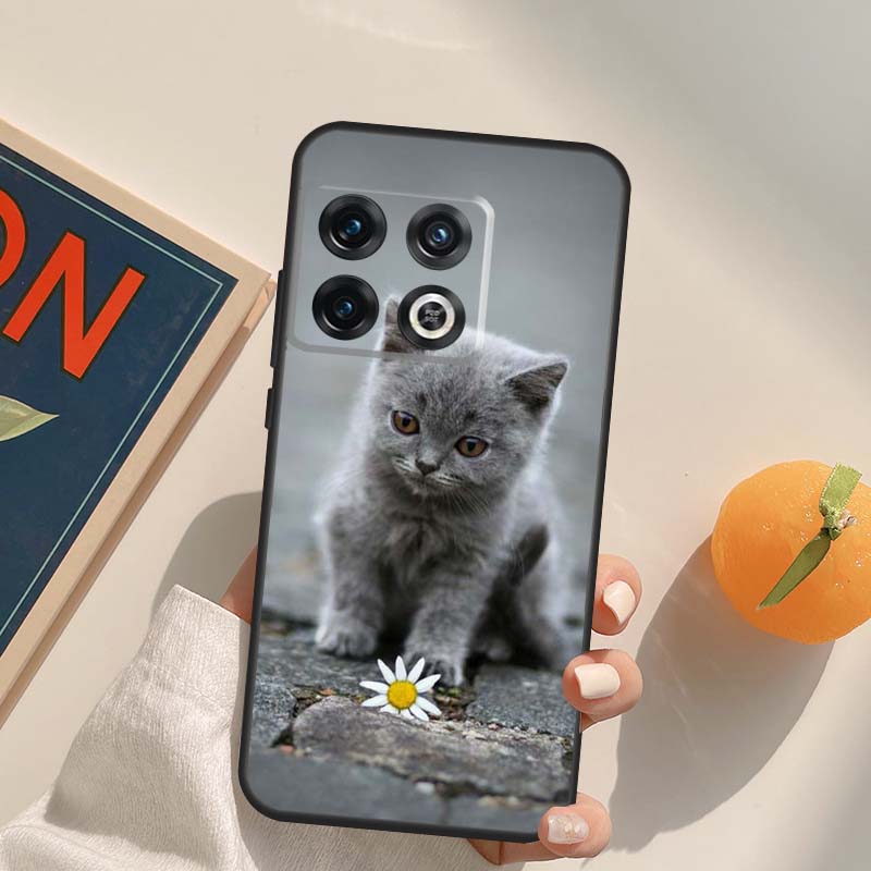 Beautiful Grey British Shorthair Cat Case For OnePlus Nord 5 CE 2 3 4 Lite N20 N30 OnePlus 15 13 12 11 13T 10T 10R 12R 13R Cover